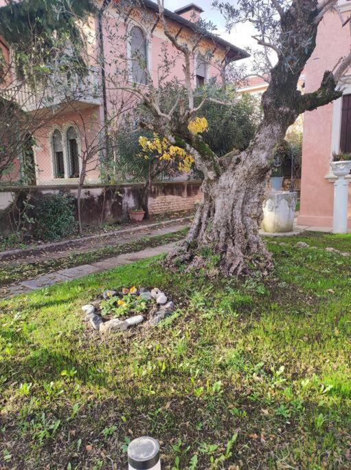 Casa Argia